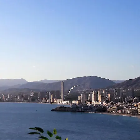 Gemelos Primera Linea * Benidorm